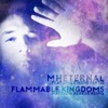 Flammable Kingdoms (Matthew Parker Remix) [feat. Emily Irene Fertig] - Single