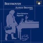Alfred Brendel - Andante favori in F Major, WoO 57