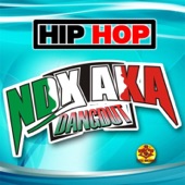 Hip-Hop Dangdut Ndx Aka artwork