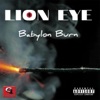 Babylon Burn