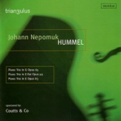 Hummel: Piano Trio artwork