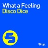 Disco Dice - What a Feeling (Club Mix)