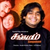 M.S.V. - Aalaala Kandaa