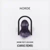 Missing You (CANVAS Remix) [feat. Lucas Nord] - Single album lyrics, reviews, download