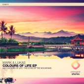 Colours of Life artwork