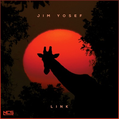 Link - Jim Yosef