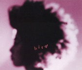 bird - BEATS (Original)