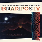 The Bradipos Four - 'A fata d' 'e suonne