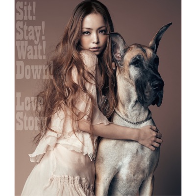 Sit! Stay! Wait! Down!/Love Story - Namie Amuro