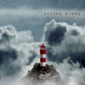 Octave Minds (Bonus Track Version) artwork
