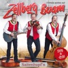 Zellberg Buam - Saitenhupf'n, 2013