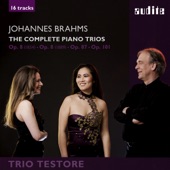 Piano Trio No. 1 in B Major, Op. 8 (revised version, 1889): III. Adagio artwork