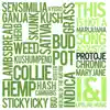 This Is Not a Marijuana Song (Acoustic) - Single album lyrics, reviews, download
