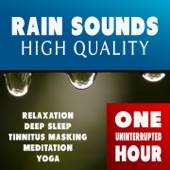 Rain Sounds artwork