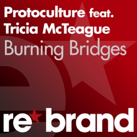 protoculture feat tricia mcteague burning bridges