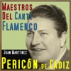 Maestros del Cante Flamenco