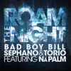 Roam the Night [feat. Na Palm] [Roam the Night] - Single album lyrics, reviews, download