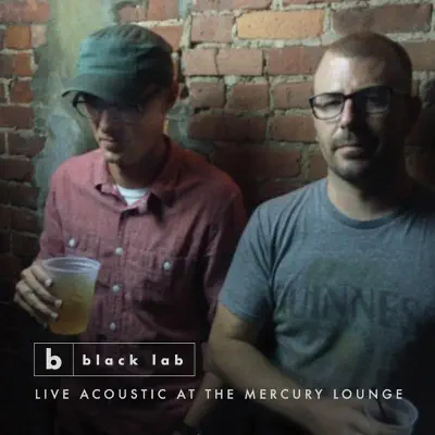 Live Acoustic at the Mercury Lounge - Black Lab
