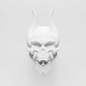 Silence In the Snow  cover