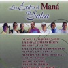 Los Éxitos De Maná En Salsa (Los Éxitos De Maná En Salsa)