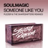 Someone Like You (Plezier & the Shapeshifters Remixes) - Single