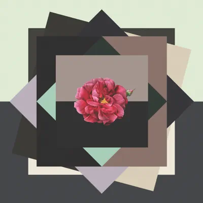 Molly Drake Songs - Single - Tracey Thorn