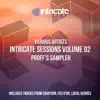 Stream & download Intricate Sessions Volume 02: PROFF's Sampler - Single