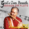 Pandit Hariprasad Chaurasia - Raga Bageshree