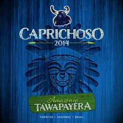 Caprichoso 2014 – Amazônia Táwapayêra (Ao Vivo) - David Assayag
