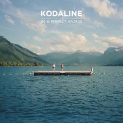 In a Perfect World (Deluxe Edition) - Kodaline