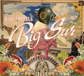 Bill Frisell - The Big One