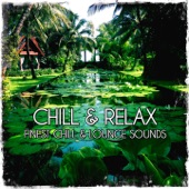 Chill & Relax (Finest Chill and Lounge Sounds) artwork
