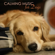 Calming Music for Dogs - Pet Music World