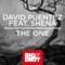 The One (feat. Shena) - David Puentez lyrics