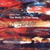 The Waltz of the Years