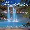 String Armonie Ensemble - String Symphony No. 6 in E-Flat Major: I. Allegro