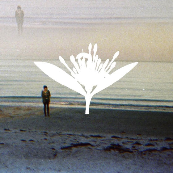 Cover artwork for Lavender