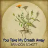 You Take My Breath Away - Single album lyrics, reviews, download