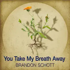 You Take My Breath Away - Single by Brandon Schott album reviews, ratings, credits