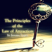 The Principles of the Law of Attraction artwork