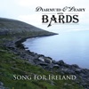 Song for Ireland - Single