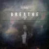 Breathe You In (feat. Laura Hahn) - Single album lyrics, reviews, download