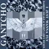 I Just Wanna Fly (Darrel Drake & Robin Grey Remix) - Single album lyrics, reviews, download