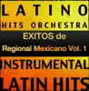 Éxitos de Los Titanes de Durango, Los Tigres del Norte, Banda El Limón y otros (Instrumental) album lyrics, reviews, download