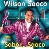 WILSON SAOCO - FALSARIA