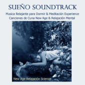 Sueño Soundtrack - Música Relajante para Dormir & Meditación Experience, Canciones de Cuna New Age & Relajación Mental - New Age Relajación Science