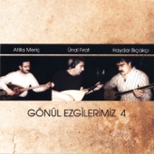 Gönül Ezgilerimiz, Vol. 4 artwork