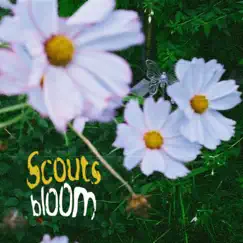 Bloom - EP by Scouts album reviews, ratings, credits