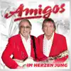 Amigos - Im Herzen jung album lyrics, reviews, download