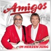 Amigos - Im Herzen jung, 2013